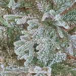 National Tree Snowy Spruce 7ft Christmas Tree