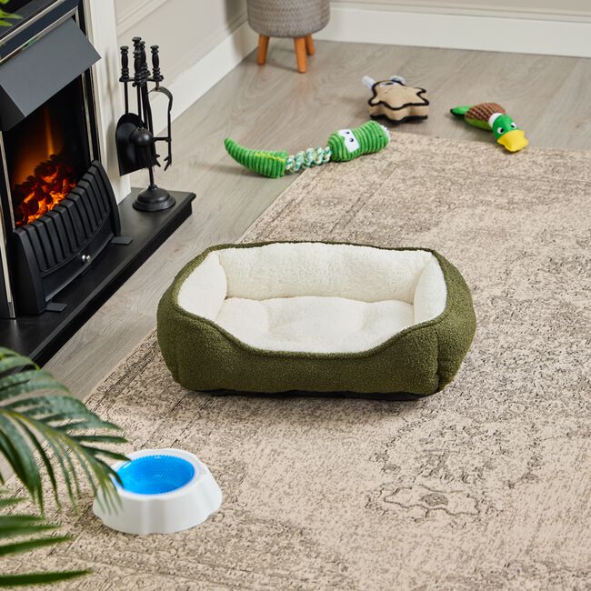 MAJOR Teddy Pet Bed Medium
