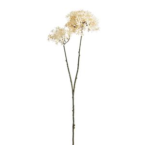 CROWN FLOWER BRANCH Vanilla 