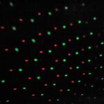 Outdoor Colour Changing Snow Falling Projector