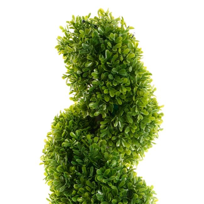 Spiral Solar Hedge Tree