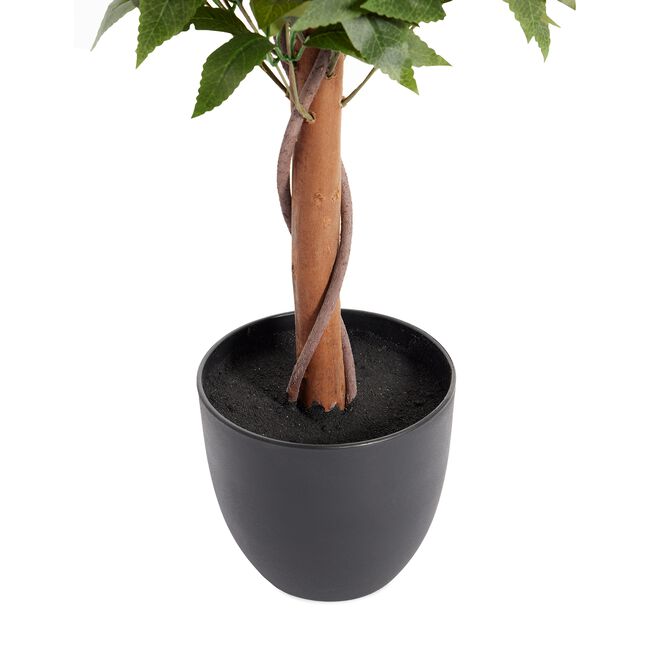 Double Laurel Topiary Tree 1.2M