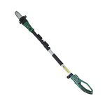 Cordless 2 in 1 Pruner and Hedge Trimmer