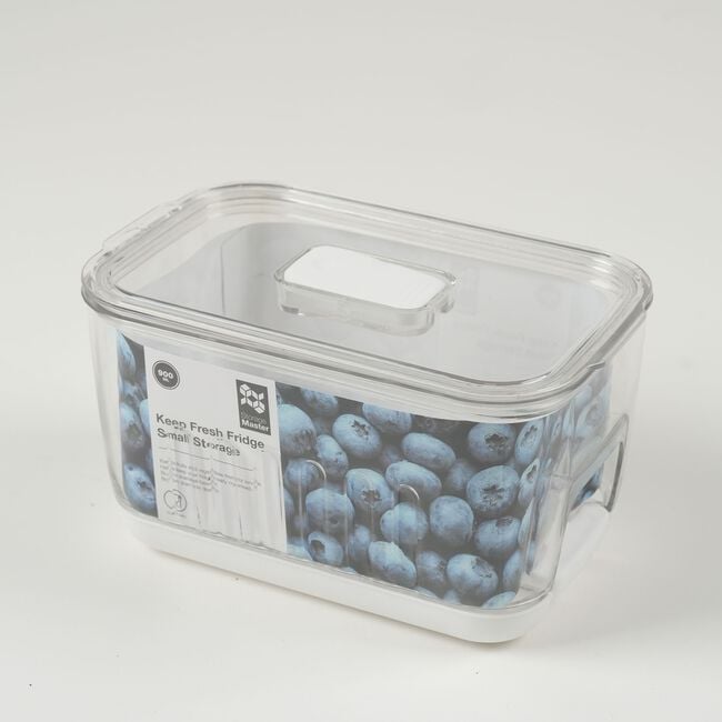 Storage Master Keep Fresh Small Storage