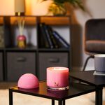 Scent Maison Japanese Honeysuckle Candle