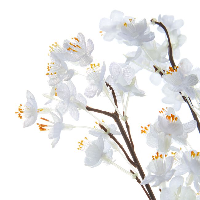 Prunus Branch with 156 Flowers