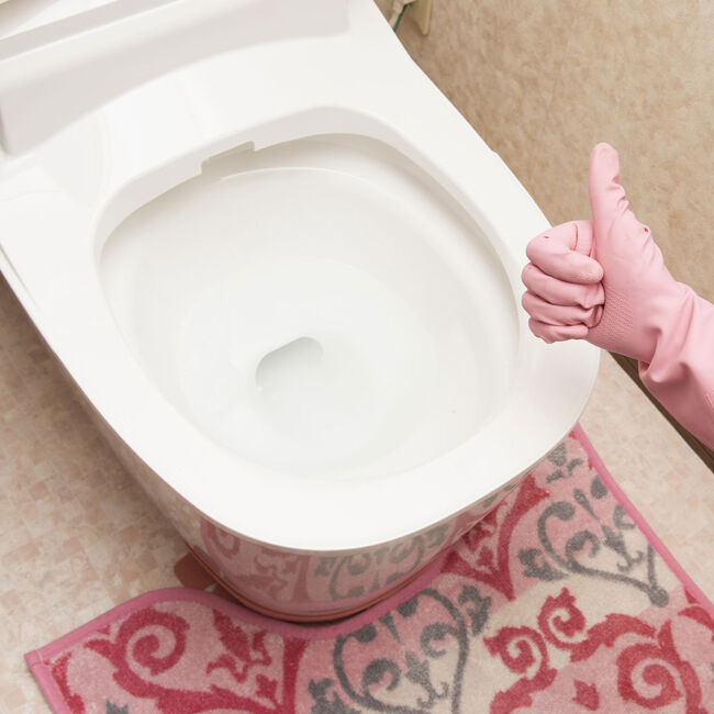 Foam Fresh Citrus Zest Toilet Cleaner
