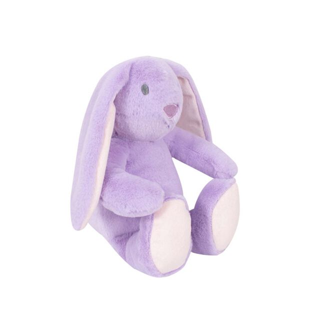 First Steps Plush Bunny (Assorted Design)