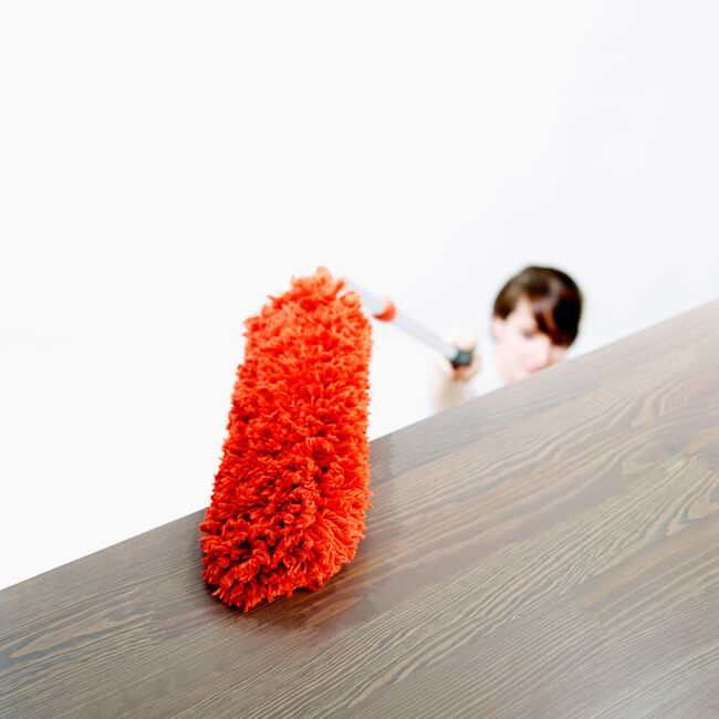 Good Grips Microfibre Extendable Duster