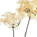 CROWN FLOWER BRANCH Vanilla 