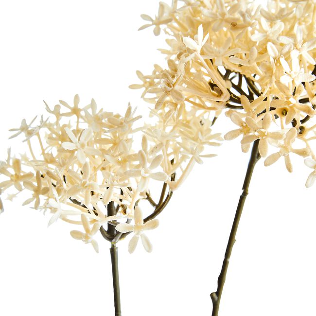 CROWN FLOWER BRANCH Vanilla 