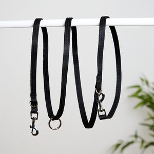 Training Dog Leash