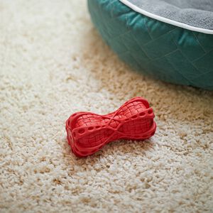 Doggy Treat Dispenser & Chew Dog Toy