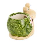 Snail Plant Pot