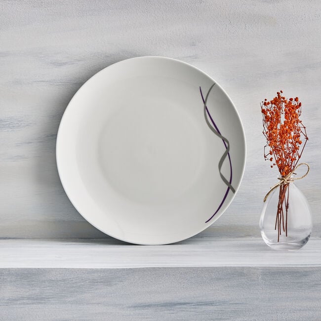Ribbon 16 Piece Dinner Set