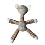 Bear Plush Tug Dog Toy