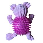 Pig Plush Dog Toy