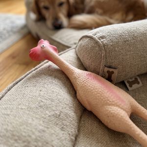 Latex Chicken Dog Toy