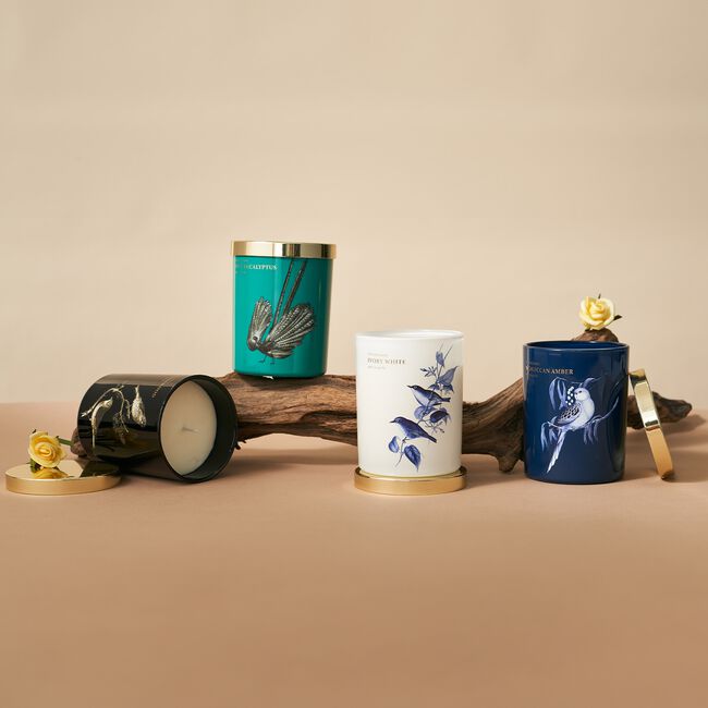 Ambianti Chinoiserie Mint Eucalyptus 198g Candle