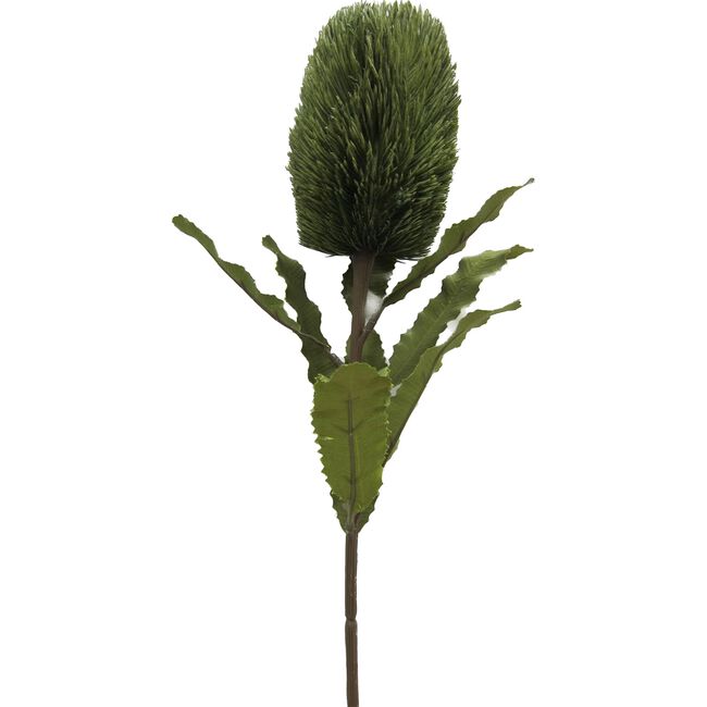 BANKSIA SPRAY Olive 