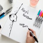 Sharpie Permanent Marker Assorted 4 PC