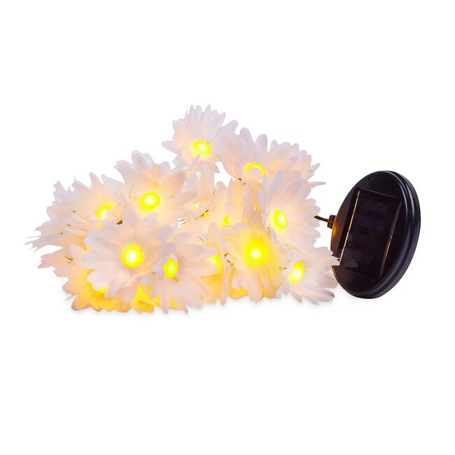 24 LED Daisy Garden Solar String Lights
