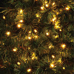 100 WARM WHITE Ultra Bright Led Lights