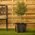 Antique Style Square Plant Pot 26.5cm