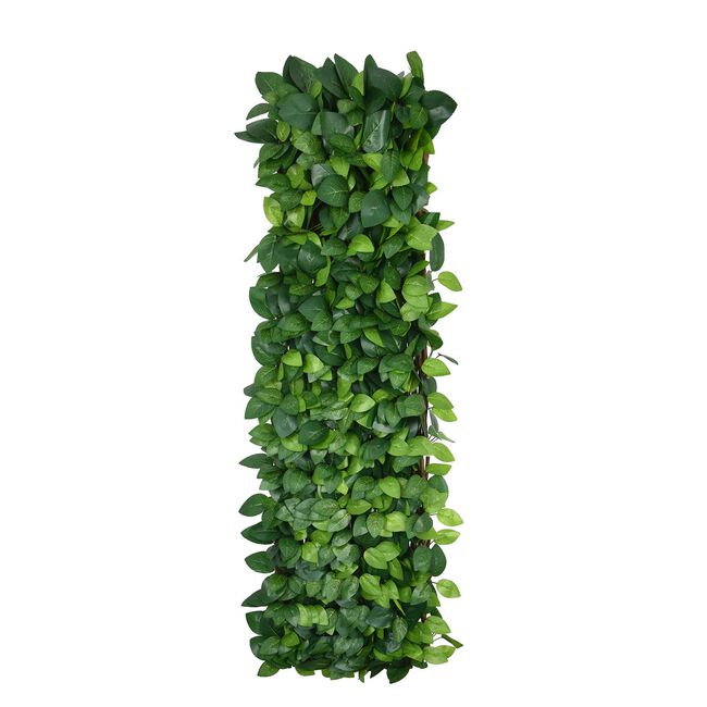 Rose Leaf Willow Trellis 2M X 1M