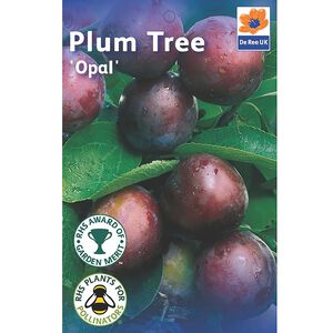 Opal Plum Tree