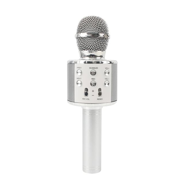 Wireless Karaoke Microphone