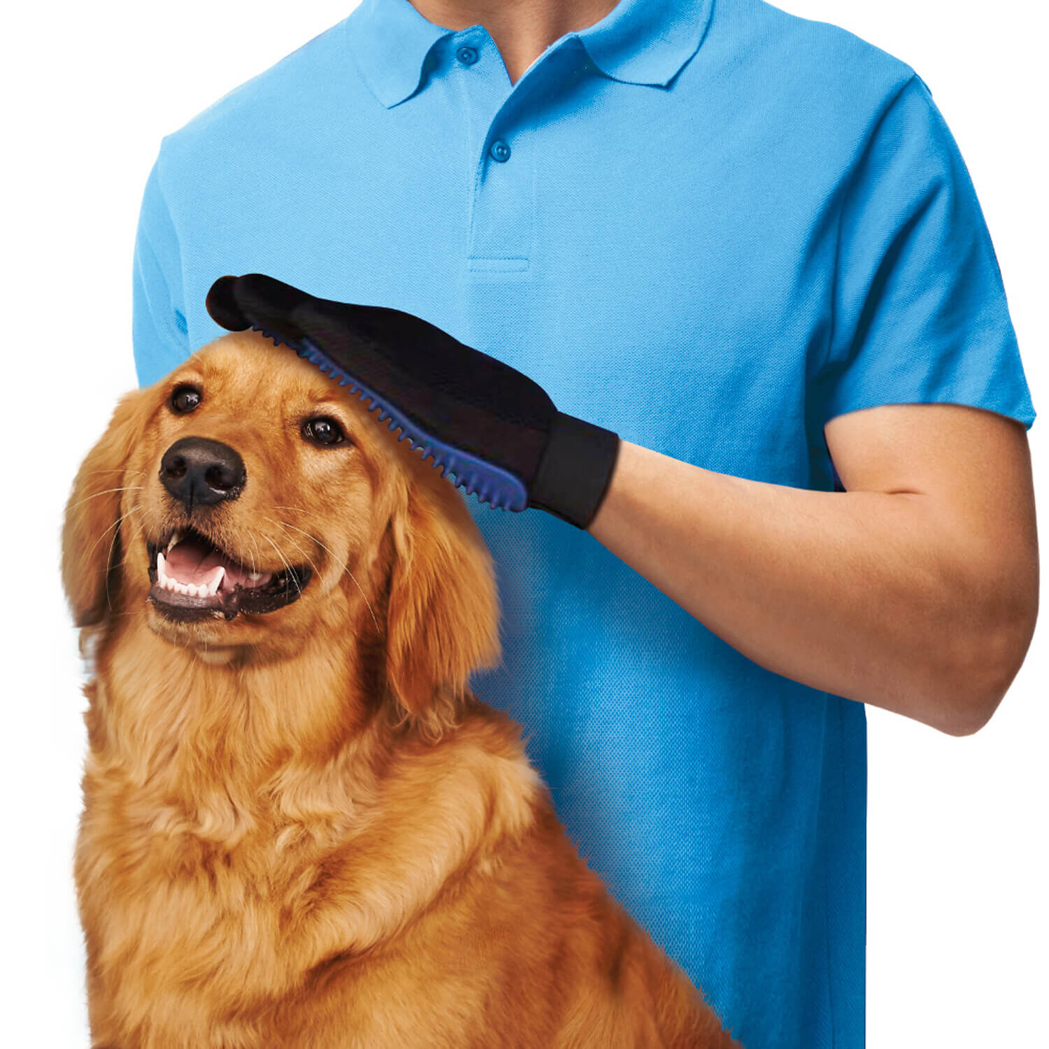 jml dog glove