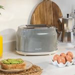 SALTER RETRO GREY CURVED BODY 2 Slice Toaster