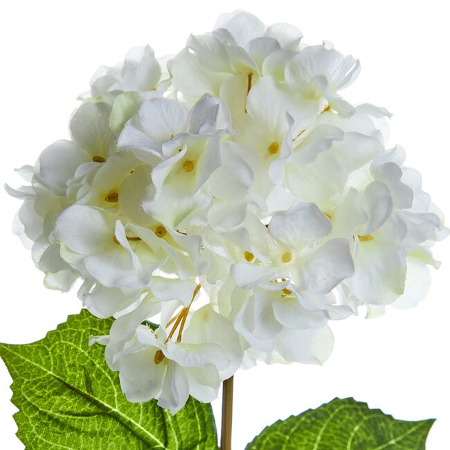 Hydrangea Spray Stem Flower Cream 74cm