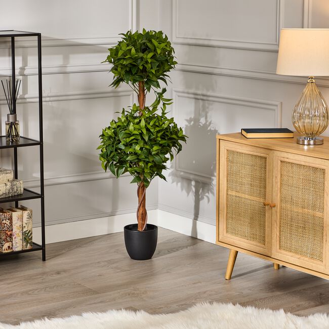 Double Laurel Topiary Tree 1.2m