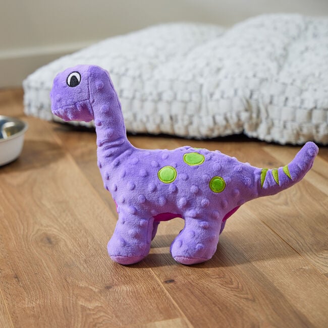 Smart Choice Plush Dinosaur Dog Toy