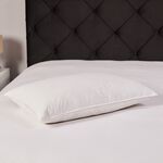 Cotton Fantasy Duck Down Pillow