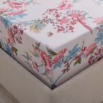 DANAE GREEN/NAT Single Fitted Sheet