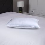 Elysium Microfibre Pillow 