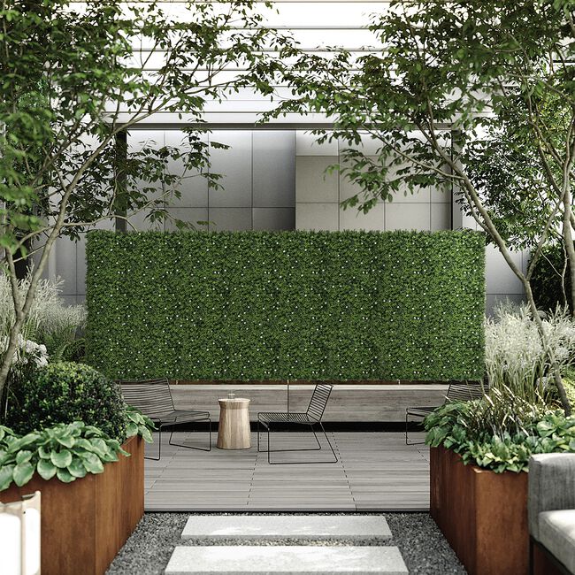 Boxwood Hedging Wall Panels 1M x 1M