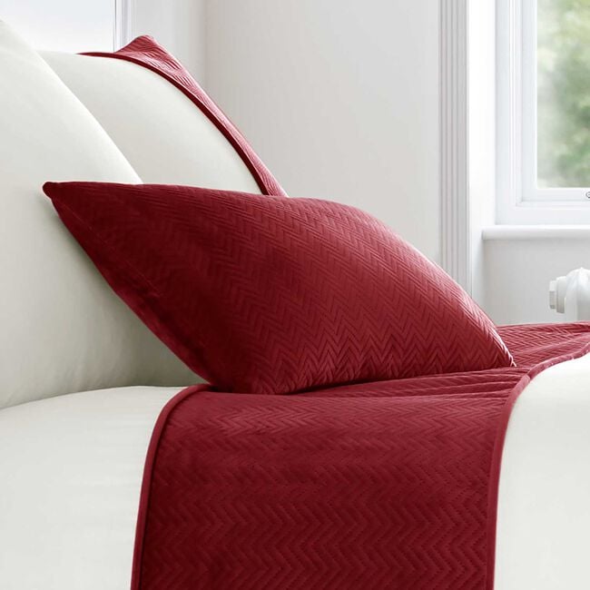 Ribeiro Velvet Cushion 30 x 50cm - Red 
