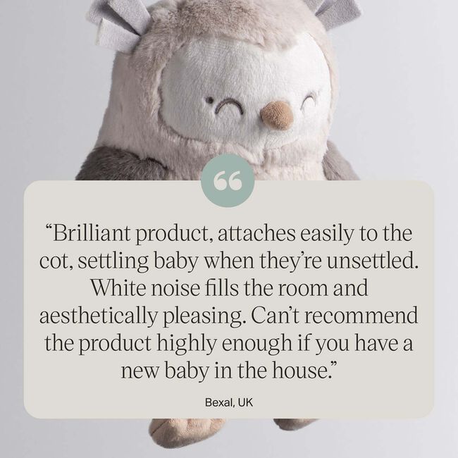 Tommee Tippee Ollie Owl Deluxe Baby Sleep Aid