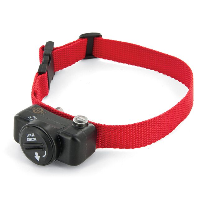 PetSafe In-Ground Fence™ System Extra Collar