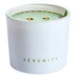Hidden Message You're a Legend Candle 250g