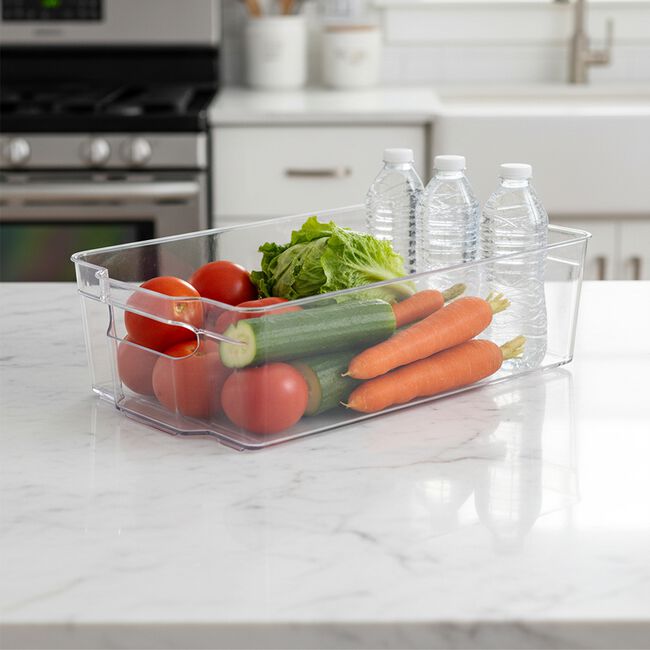 FRIDGE & FREEZER Bin 31.3x15.6x8.8cm