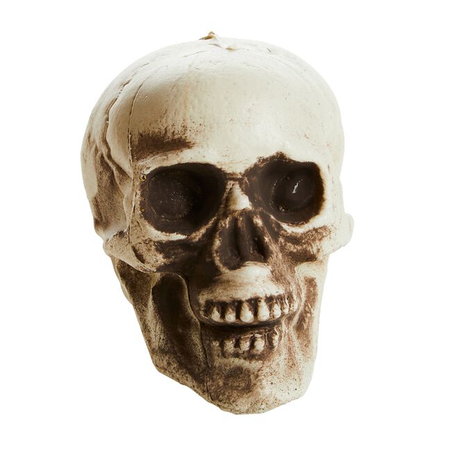 Bag of Skulls Halloween Decoration