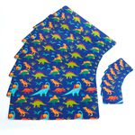 Dino Land 6 Pack Placemats & Coasters