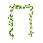 Ivy Creeper Garland 6M