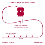70 Red & White LED Berry String Lights