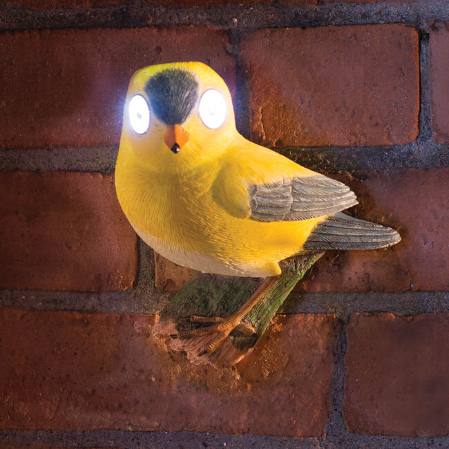 Bright Eye Bird Solar Light